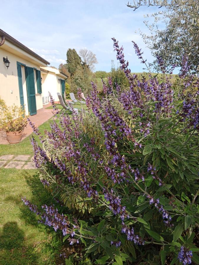 Agriturismo Le Colline Di Capalbio Exterior photo